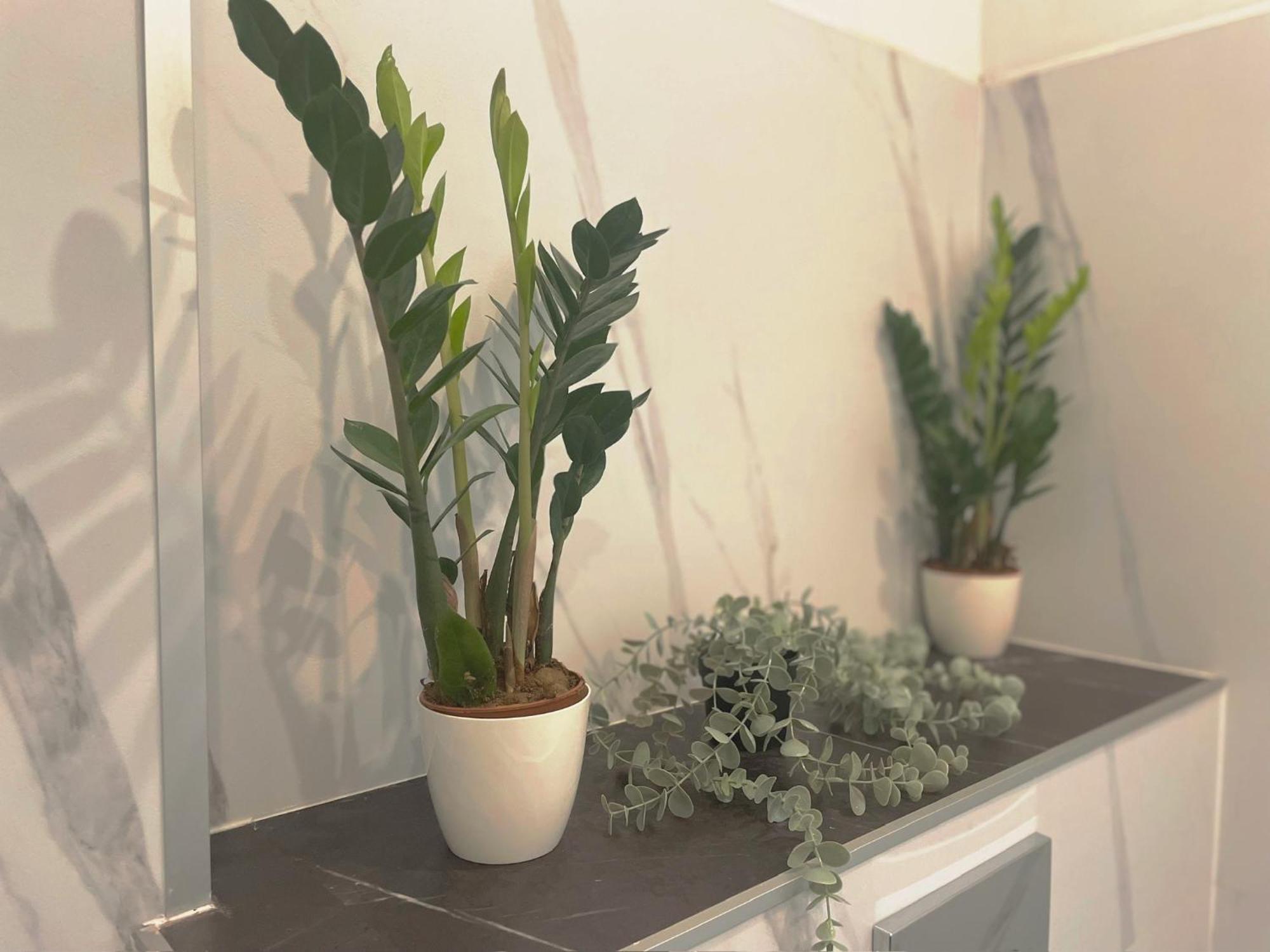 Central Apartment New Studio コシツェ エクステリア 写真